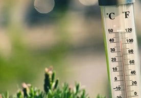 Ўзбекистонда ҳарорат +40°С гача кўтарилиши кутилмоқда фото