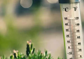 Ўзбекистонда ҳарорат +40°С гача кўтарилиши кутилмоқда фото