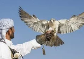 Қозоғистон ҳукумати Бирлашган Араб Амирликлари ва