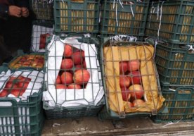 EastFruit таҳлилчиларининг маълумотига кўра, Ўзбекистонга