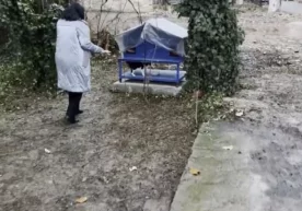 Барчада уй-жойга эга бўлиш ҳуқуқи бор ва бошпанасиз
