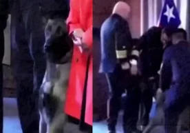 An unexpected and funny incident occurred at a graduation