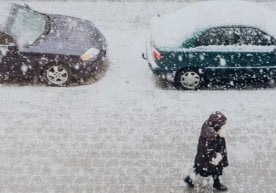 Тошкент шаҳри ва Тошкент вилояти Ҳаво салқин ва ўзгарувчан