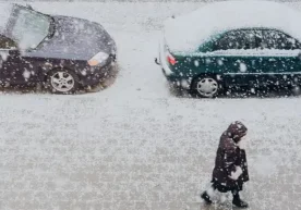 Тошкент шаҳри ва Тошкент вилояти Ҳаво салқин ва ўзгарувчан