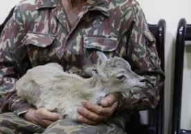 Фото: Табиат ресурслари вазирлиги “Сурхон” давлат
