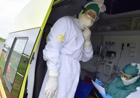 Россияда Зика вирусидан касалланиш билан боғлиқ бешта