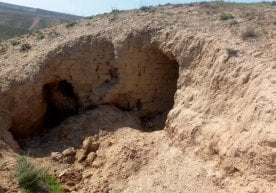 Tojikistonda VI-VIII asrlarga oid qasr xarobalari topildi (foto) фото