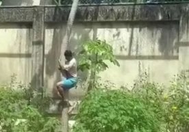 Бразилияда жойлашган ҳайвонот боғида жуда қайғули ва