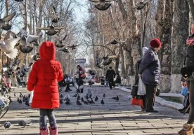 Янги йилнинг илк иш ҳафтасида Ўзбекистон ҳудудларида