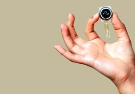 Foto: Neuralink Neuralink kompaniyasi o‘z tadqiqotlari