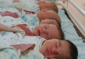 2026 йил 1 январь куни соат 17:00 ҳолатига кўра,