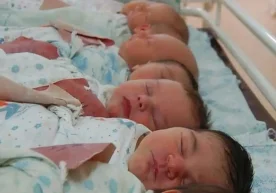 2026 йил 1 январь куни соат 17:00 ҳолатига кўра,