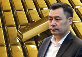 В Кыргызстане прозвучало еще одно необычное предложение по