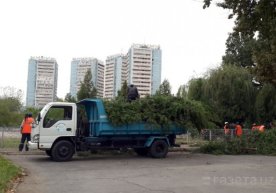 Тошкентда муқаддам ёпилган бир қанча кўчалар очилмоқда фото