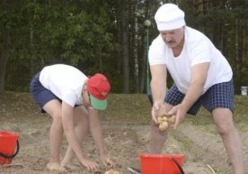 Россияда картошка танқислиги тобора жиддий тус олмоқда.