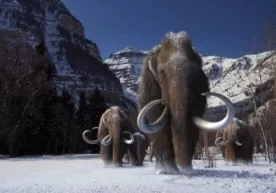 Гарвард университети олимлари яна икки йилдан кейин Ер