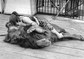 Ушбу суратда Сиз шернинг оғзига бошини тиқаётган аёл акс