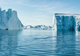 Калифорния университетининг Риверсайд кампусида фаолият