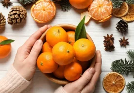 Фото: «Lisa.ru» Совуқ мавсумда деярли қуёш чиқмайди,