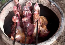 Қуйида Сиз "Тандир гўшт"нинг қандай