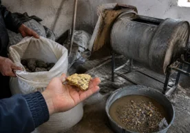 Navoiy bölgesinde yasa dışı yollarla altın madenciliği