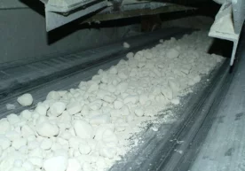 Yurtimizda tadbirkorlik faoliyati bilan