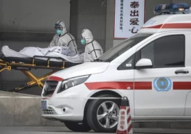 Foto: Getty Images Xitoyda bir kun ichida yangi turdagi