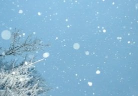 23 сентябрь куни Қозоғистоннинг Костанай вилоятида биринчи