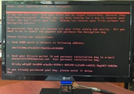 Petya virusi butun dunyo kompyuterlariga hujum qildi фото