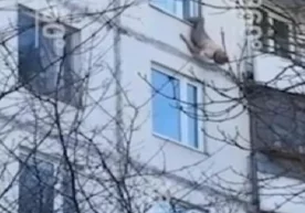 Moskva shahrida nafaqaxo‘r ayol o‘zini uyi derazasidan