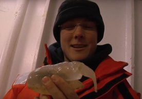 Янги Зеландиянинг RV Tangaroa тадқиқот кемаси олимлари