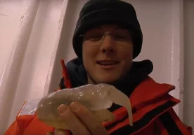 Янги Зеландиянинг RV Tangaroa тадқиқот кемаси олимлари