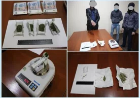 Божхоначилар томонидан гиёҳвандлик воситаларининг