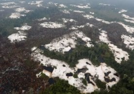 Индонезия ҳукумати ўрмон ҳудудларида олиб борилаётган