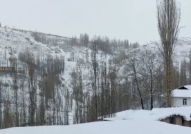 Ўзгидромет жорий йилнинг 8–10 декабрь кунларига оид