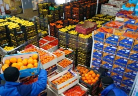 Ўзбекистонда улгуржи ва чакана савдо ҳажми ўсишда давом