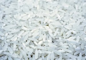 Қирғизистон жорий йилнинг январь-август ойларида