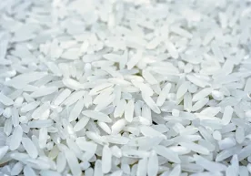 Қирғизистон жорий йилнинг январь-август ойларида