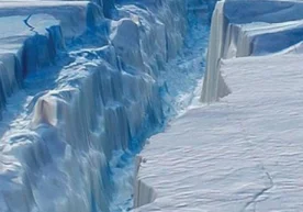 Олимларнинг тадқиқотларига кўра, Антарктида музликларининг