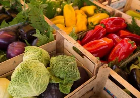 Фото: Getty Images Профессор турли маҳсулотларни истеъмол