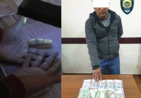 Сурхондарё вилояти Термиз туманида ҳокимлик захирасида