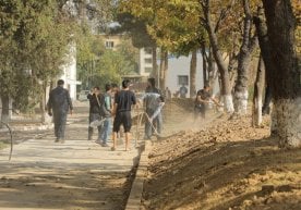 Ўзбекистон бўйлаб 13 ва 14 март кунлари умумхалқ хайрия