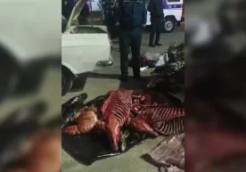 Фото: Видеодан кадр Ижтимоий тармоқларда «Наманганда эшак