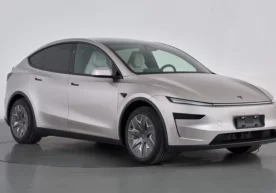 The global revolutionary in the electric car industry —
