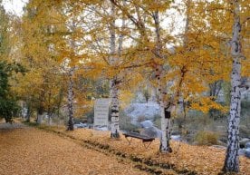 Ўзбекистонда декабрь нормага нисбатан бир оз иссиқроқ