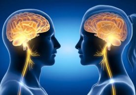 Норвегиялик олимлар инсониятнинг кучли ярими вакиллари