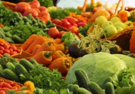 Иқтисодиёт ва молия вазирлиги Тошкент шаҳридаги Food sity