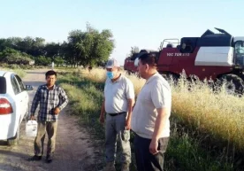 Бугун далаларимизда аллақачон “Ғалла — 2020” мавсуми