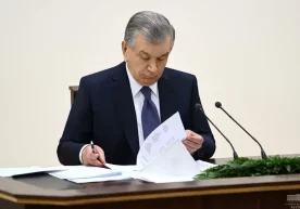 Президент дарахтларни ноқонуний кесиш билан боғлиқ