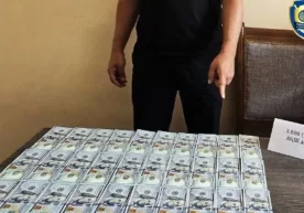 Андижонда Канадага ишга жўнатишни ваъда қилиб, минглаб доллар талаб қилган фирибгар қўлга тушди фото